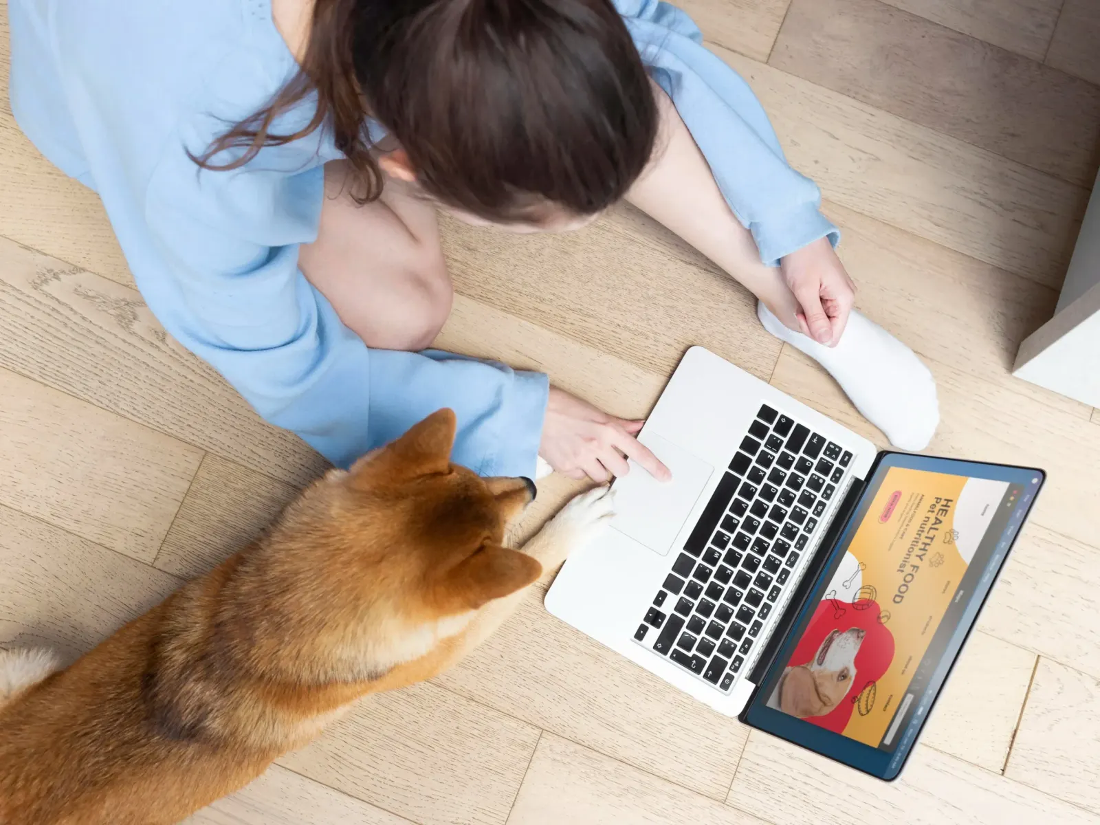Online-Shop für Tierbedarf: Katalog nach Tierart, Spar-Abo und Wiederkäufe